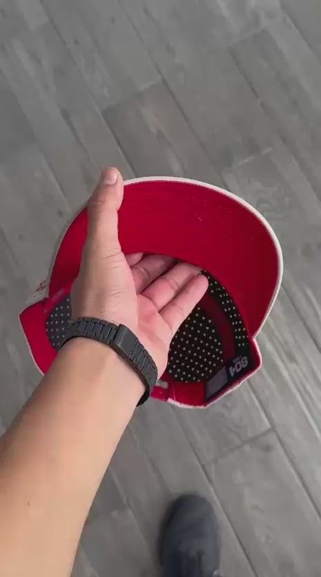 Lobo negro el malo del cuento placa premium 🐺